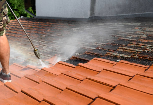 Best Pressure Washing Near Me  in St Stephen, SC